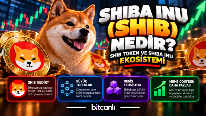 Shiba Inu (SHIB) Nedir? SHIB Token ve Shiba Inu Ekosistemi